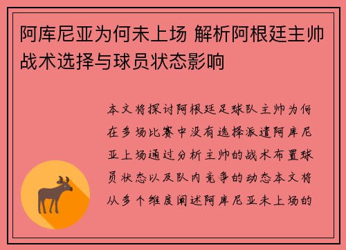 阿库尼亚为何未上场 解析阿根廷主帅战术选择与球员状态影响