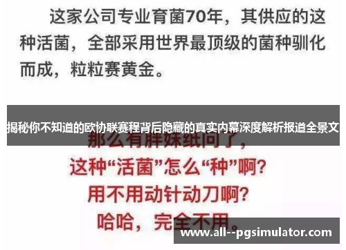 揭秘你不知道的欧协联赛程背后隐藏的真实内幕深度解析报道全景文
